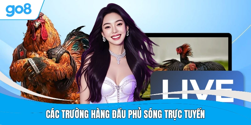 Các trường hàng đầu phủ sóng trực tuyến