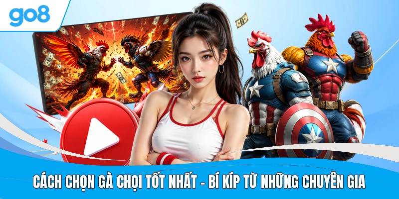 Cách Chọn Gà Chọi