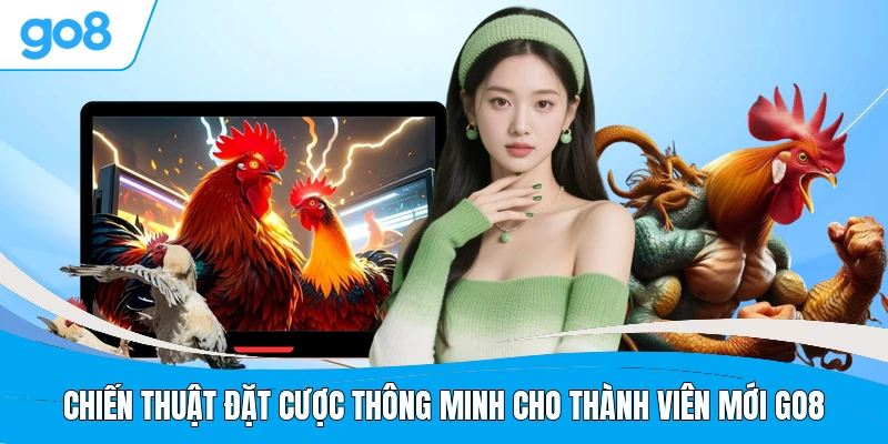 Chiến thuật đặt cược thông minh cho thành viên mới GO8