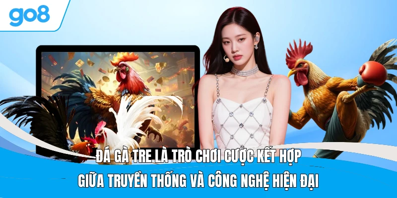 Đá gà tre là trò chơi cược kết hợp giữa truyền thống và công nghệ hiện đại