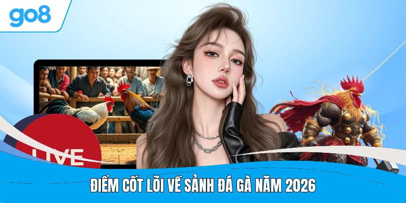 Điểm cốt lõi về sảnh đá gà năm 2026