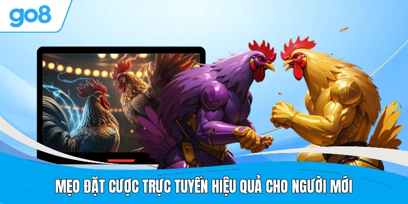 Mẹo đặt cược trực tuyến hiệu quả cho người mới