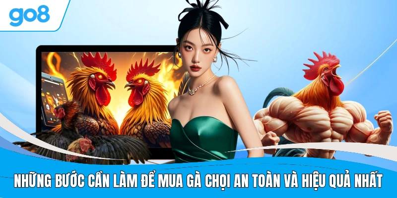 Những bước cần làm để mua gà chọi an toàn và hiệu quả nhất