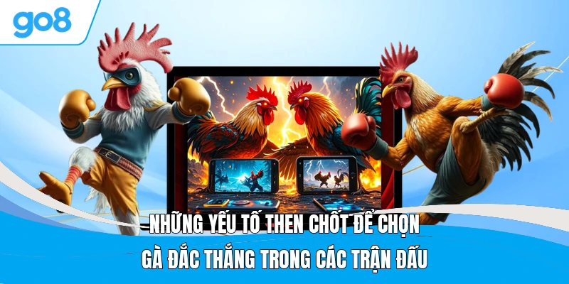 Những yếu tố then chốt để chọn gà đắc thắng trong các trận đấu