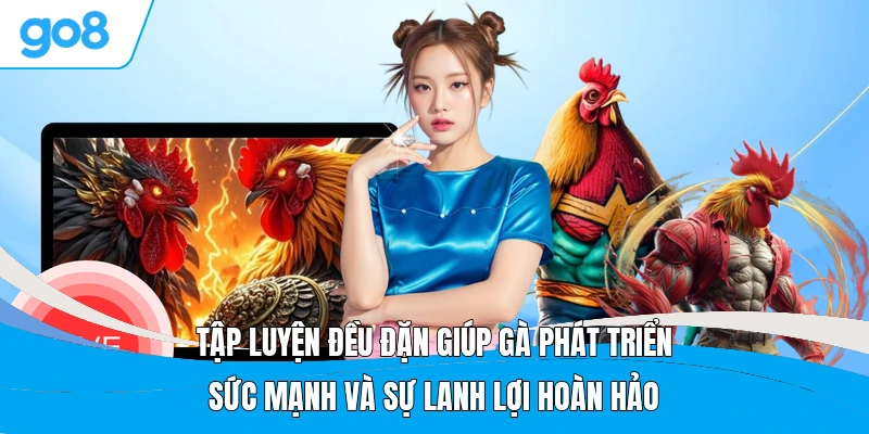 Tập luyện đều đặn giúp gà phát triển sức mạnh và sự lanh lợi hoàn hảo