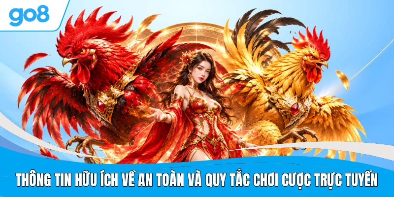 Thông tin hữu ích về an toàn và quy tắc chơi cược trực tuyến